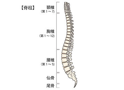 頚椎ヘルニアの症状
