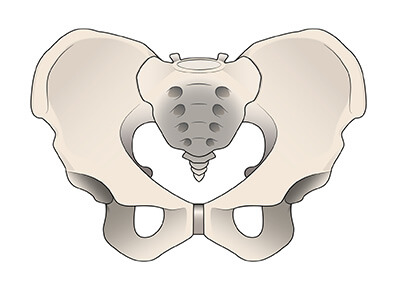 骨盤調整の治療