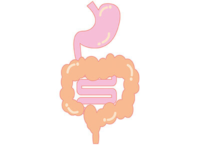 内臓機能の低下を防ぐには