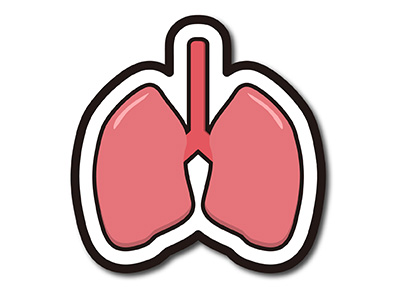 内臓の癒着で引き起こされる腰痛の原因